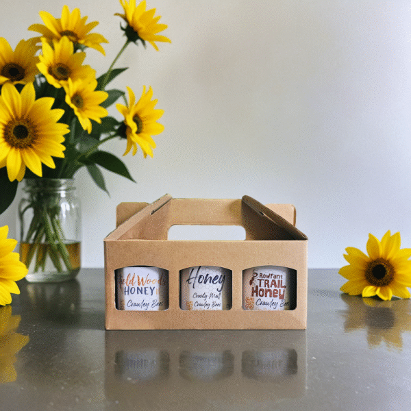 The Triple Honey Box Gift - Image 2